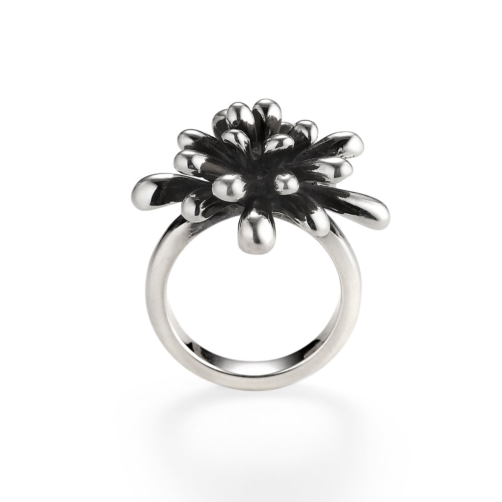 Fireworks Ring